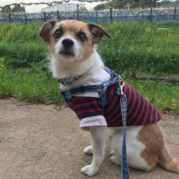 299b970f fd8a 45b8 86b8 fbaebc953805 1523150029558