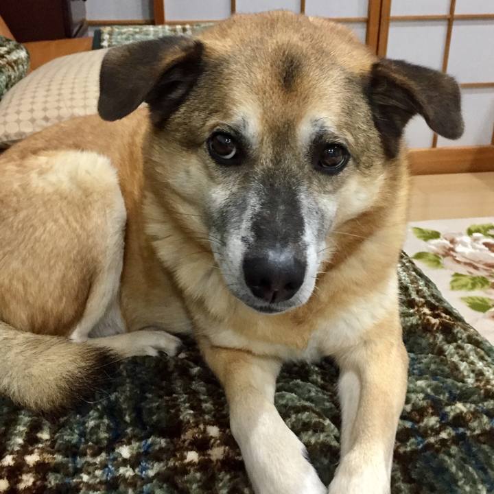 299bb98d b4d8 466b 84e1 75a768c80303 1579518462354