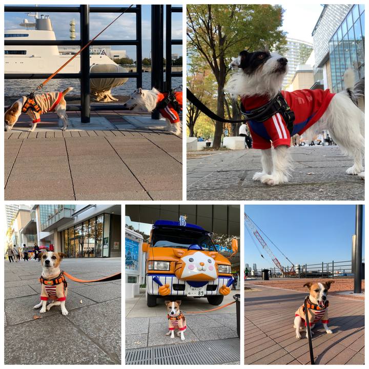 299bc5c0 eaff 4d71 aceb 0454f7b8e663 1573295083889