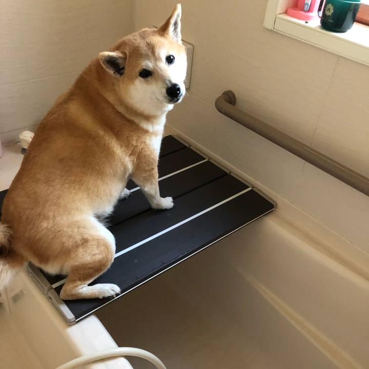 299bc927 8029 48e7 8f35 5e4ae5676d54 1557058953519