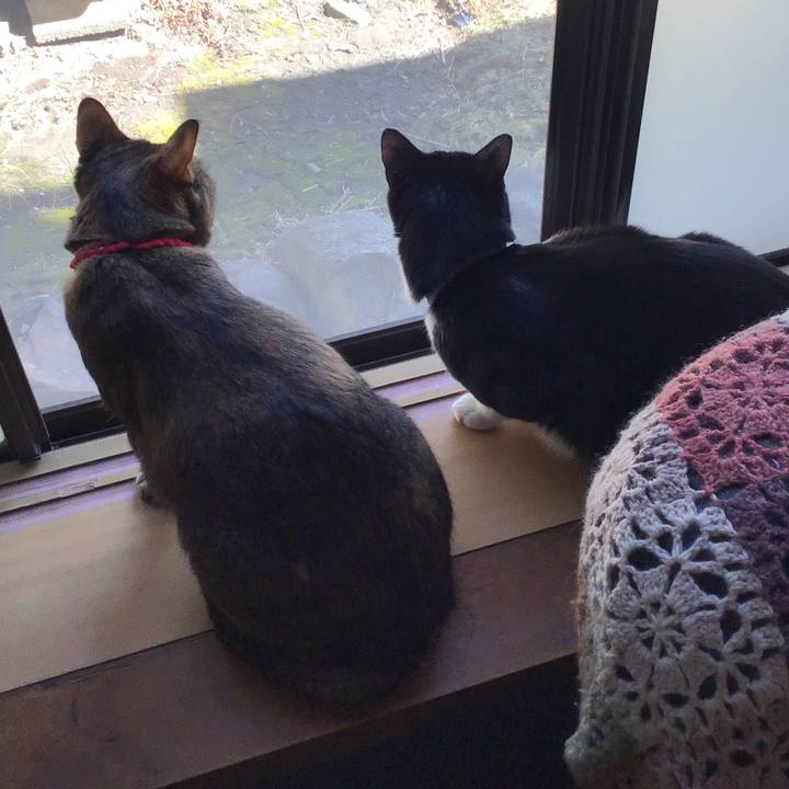 299bef35 b769 4d77 ad60 f8704fb656b1 1678084966606