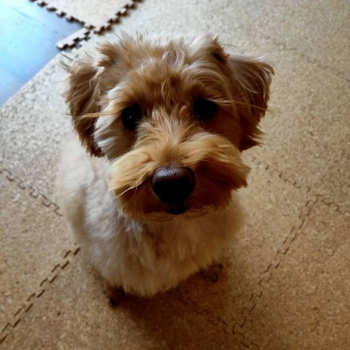 299c0bfe 91ab 4be2 85fb cde49a8078f7 1578727011429