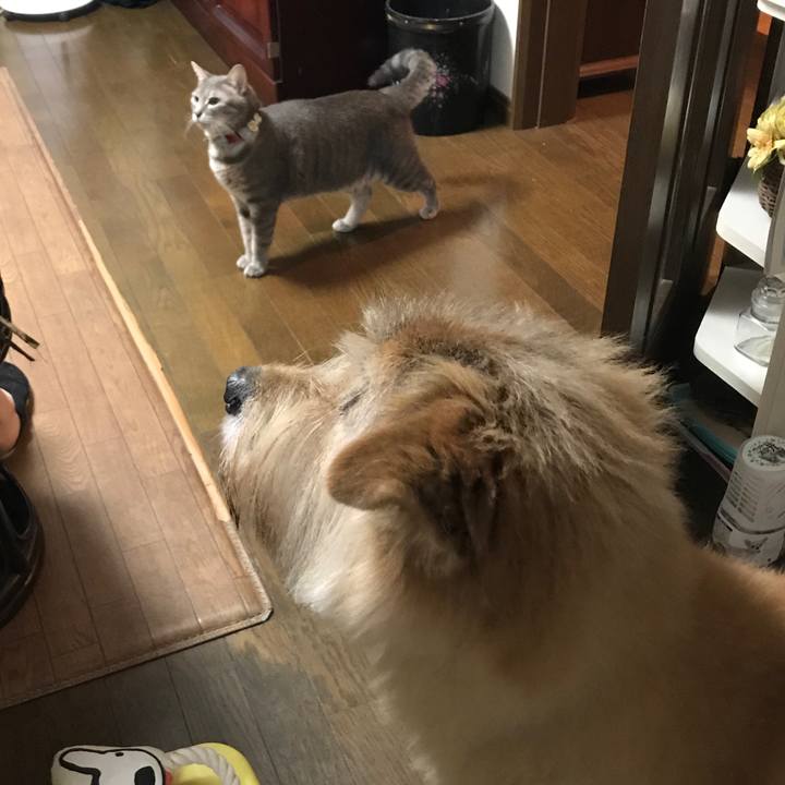 299c26fd a9b6 4547 ae40 d13518f10c67 1600834748713