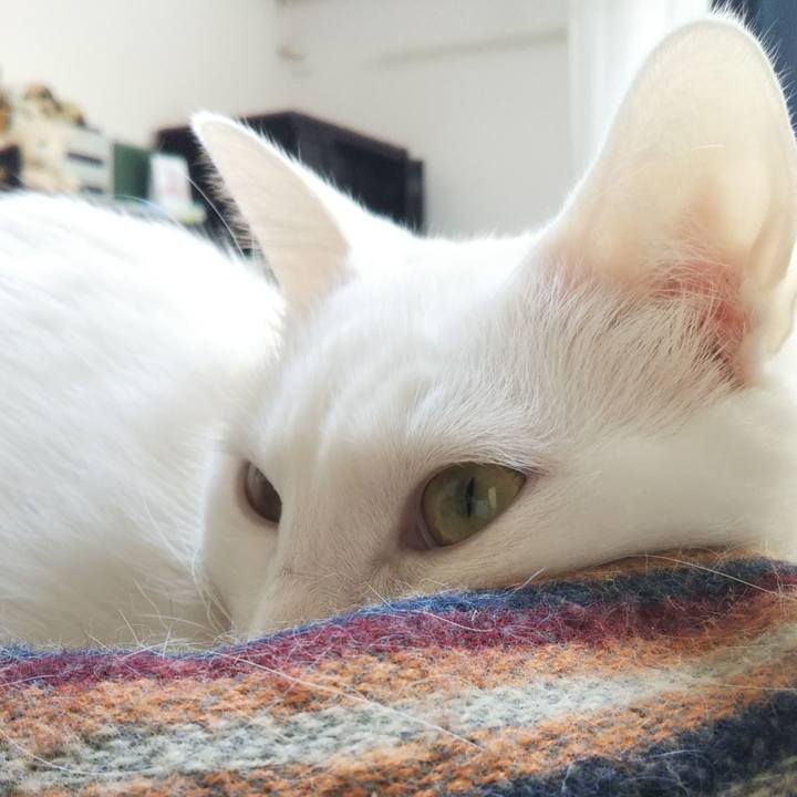 299c49fb 8c71 454c 805b 7c9b5583547b 1637664589738