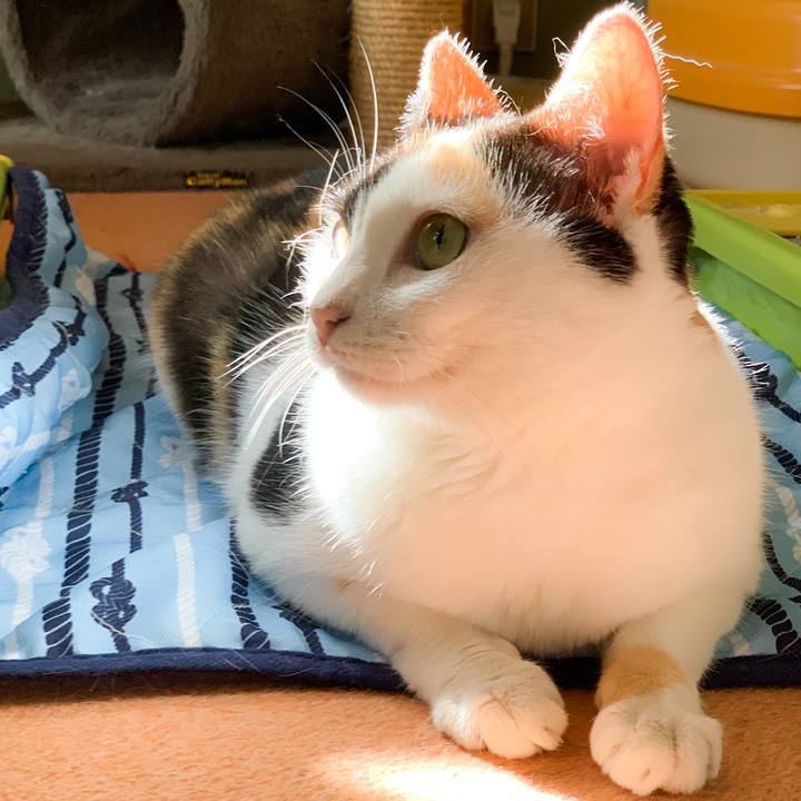 299c7ae9 c829 4b67 b213 4877f80768a2 1573005051082