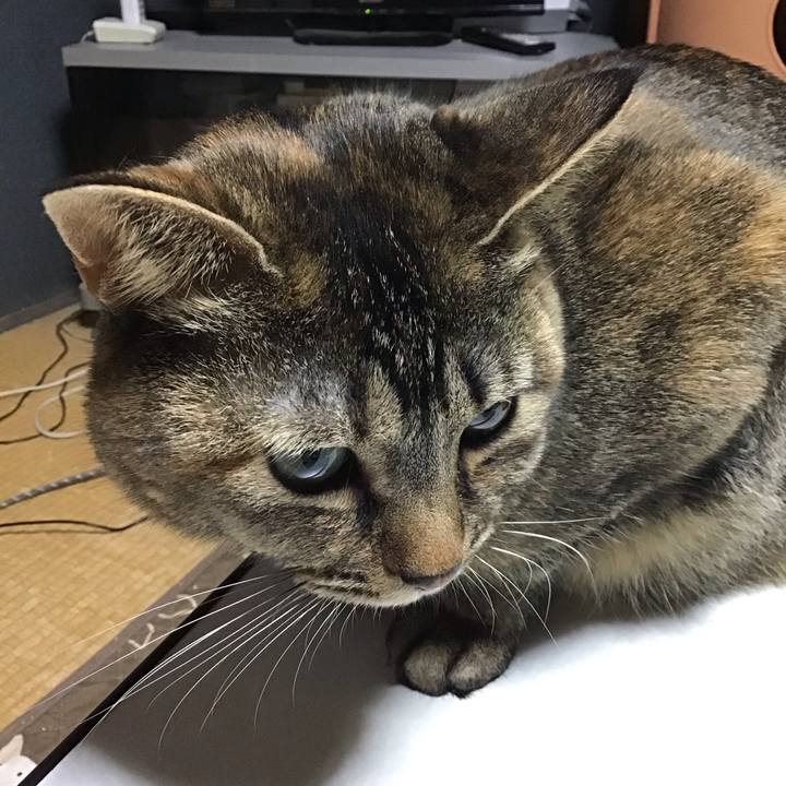 299c9ad1 dc9c 45b8 afc6 47928af5b913 1677847051193