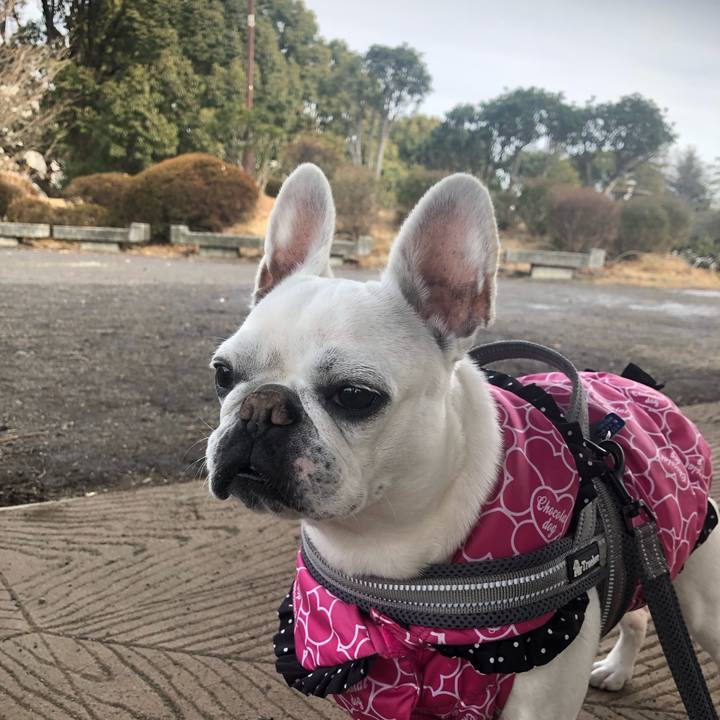 299cabc0 e0e6 43ed a3e5 5451d3408b9e 1642218769055