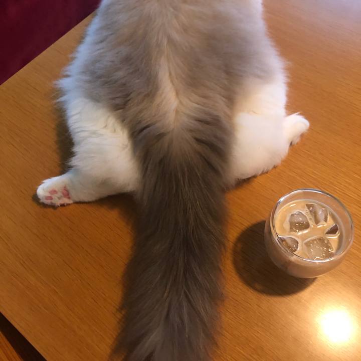 299cddaa 65c3 437c ab67 6789ea5c6af9 1630454733124