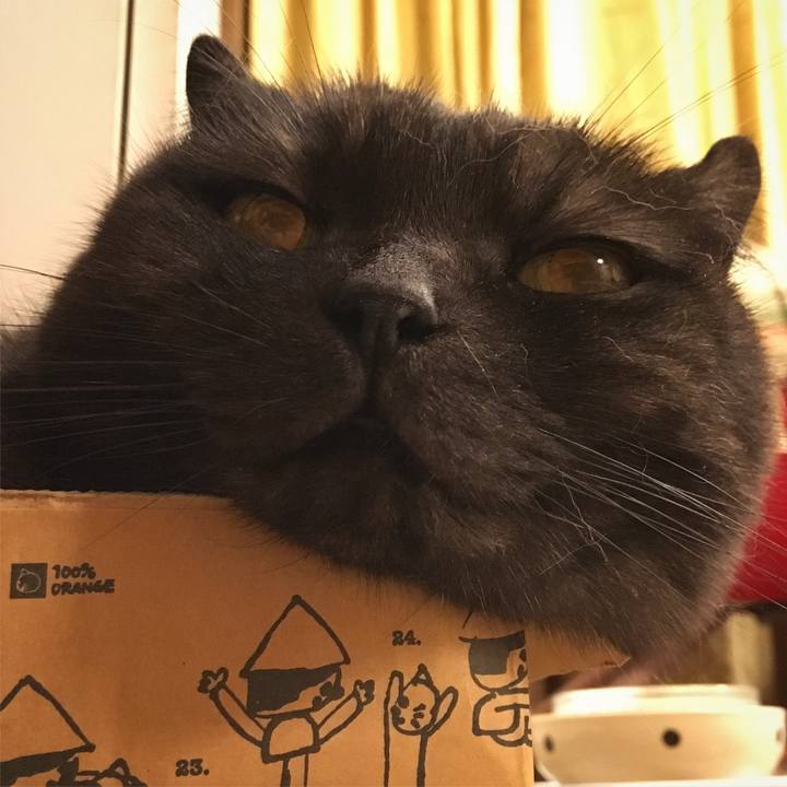 299ceb3a 6306 47f2 938b 4314c4d8dea0 1529067964369