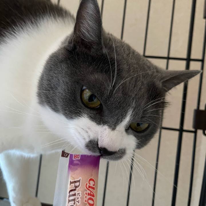 299d14c5 d11d 42c1 8f52 29a722ed276b 1661928617818