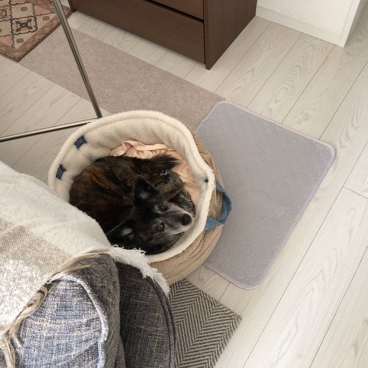 299d39fb 2c53 46f9 8f33 3280c37f75d9 1712052731900