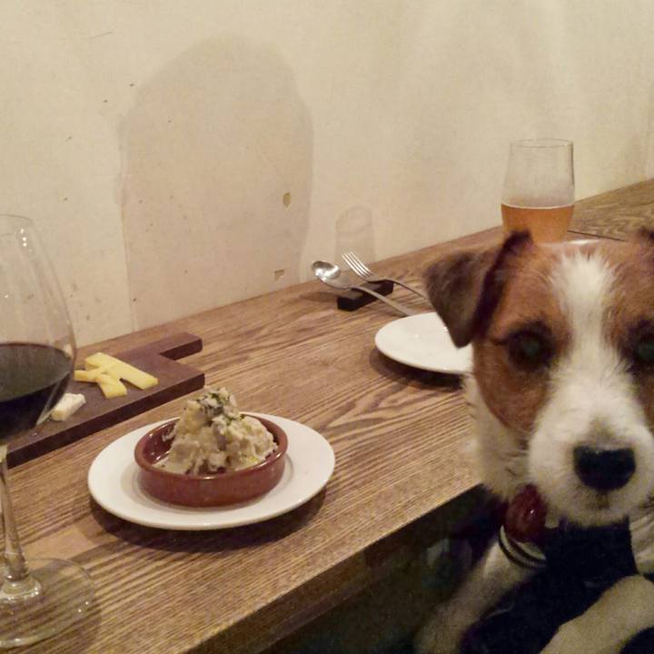 299d4ebd e031 45b0 afd9 4af8e4a1fe48 1512132453630