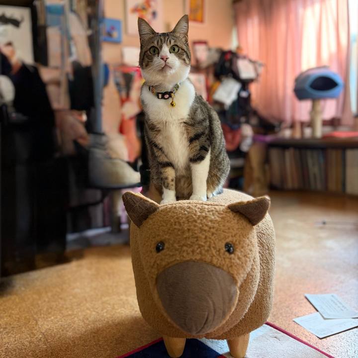 299d6610 84be 454b 82e4 a0c57049ffe6 1768269293524