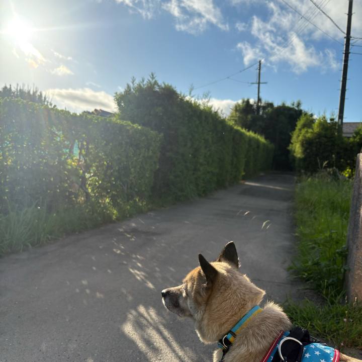 299d80af 5f16 426c aead 48a748d23dbe 1753274701710