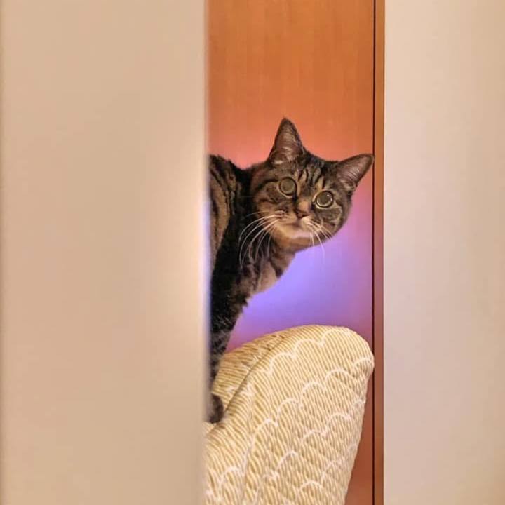 299d80cb d5fd 435c a720 9bd32f154f18 1773379628139