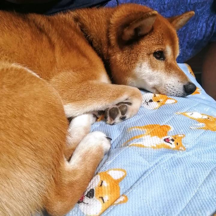 299db945 6b0b 4676 8d54 c0261d5175a6 1627483980308