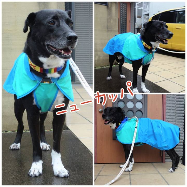 299e1aa0 2201 4e39 87b6 9f9a39b011b7 1666005160266