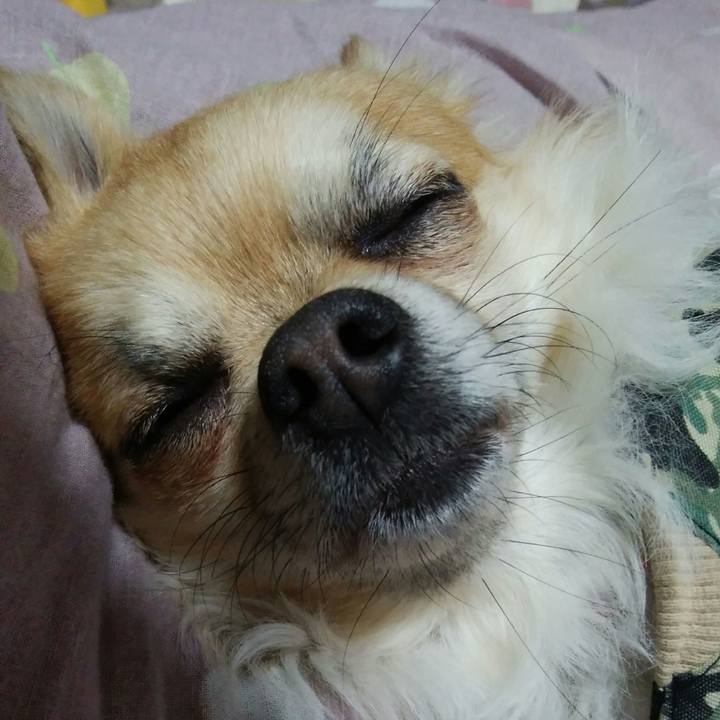 299e1fcf 6add 4532 bdac 195105c5aa12 1516794777022