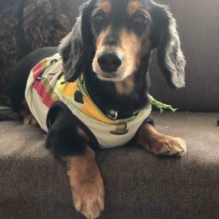 299e28e5 582c 4f14 9865 8643b162b092 1536480164984