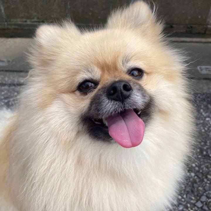 299e3d46 6d42 4a89 bbd4 c654646a039a 1663905390815