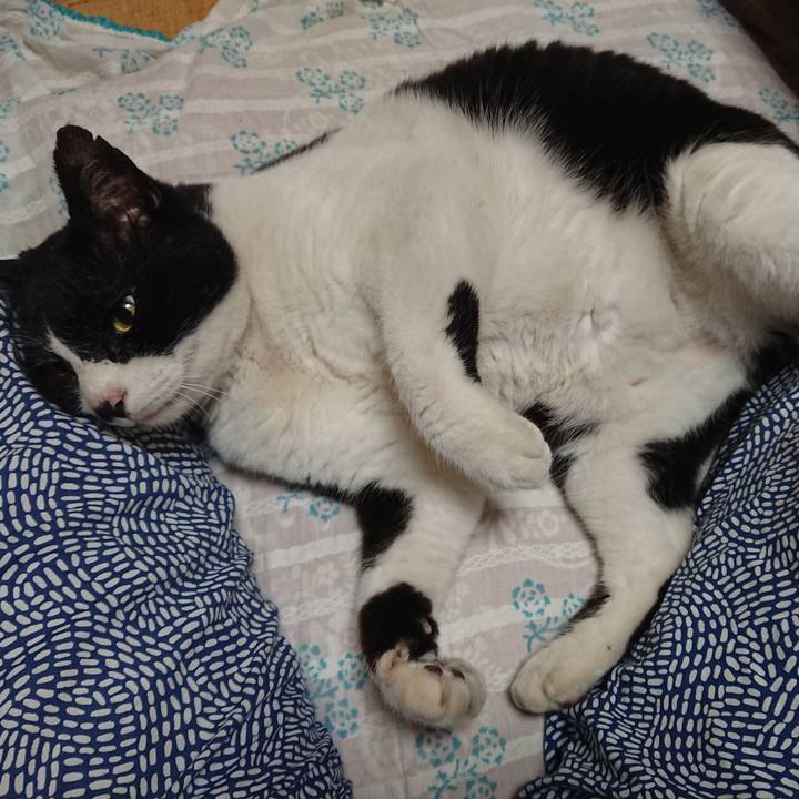 299e679b dab2 4201 87b4 6c4647e14fda 1622629519410