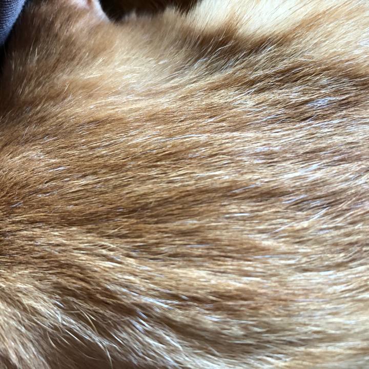 299e883f ec9b 43db 8f72 74f497c73601 1637204912317