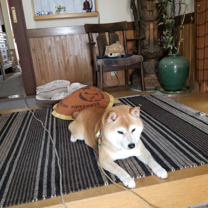 299eb4b6 3316 4b70 b89a 6b5359a4fdbb 1654652756494