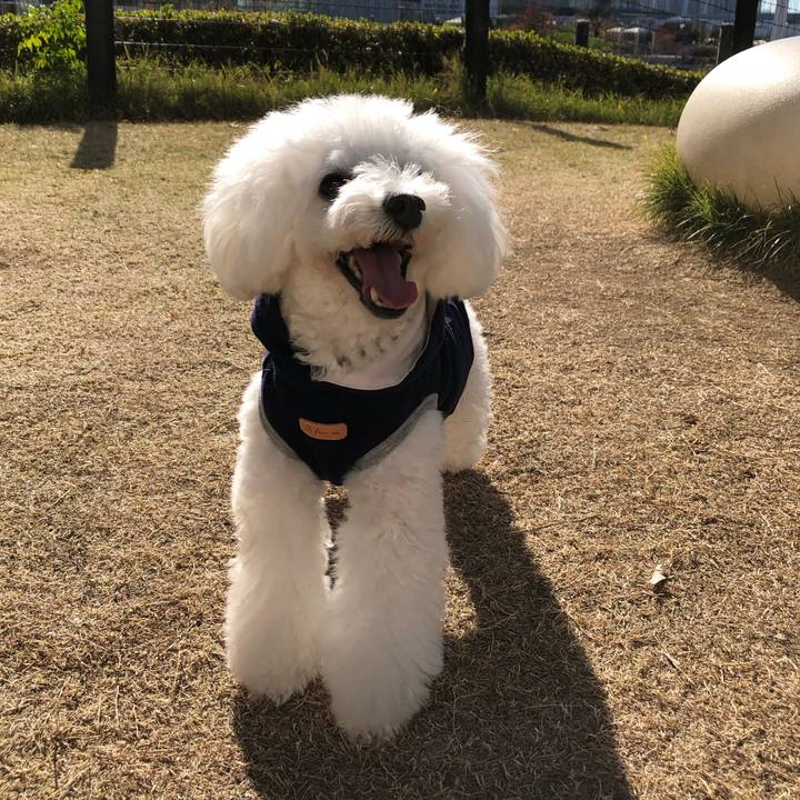 299f02c1 1e70 47aa a53b a7c4b85e9b43 1669533625944