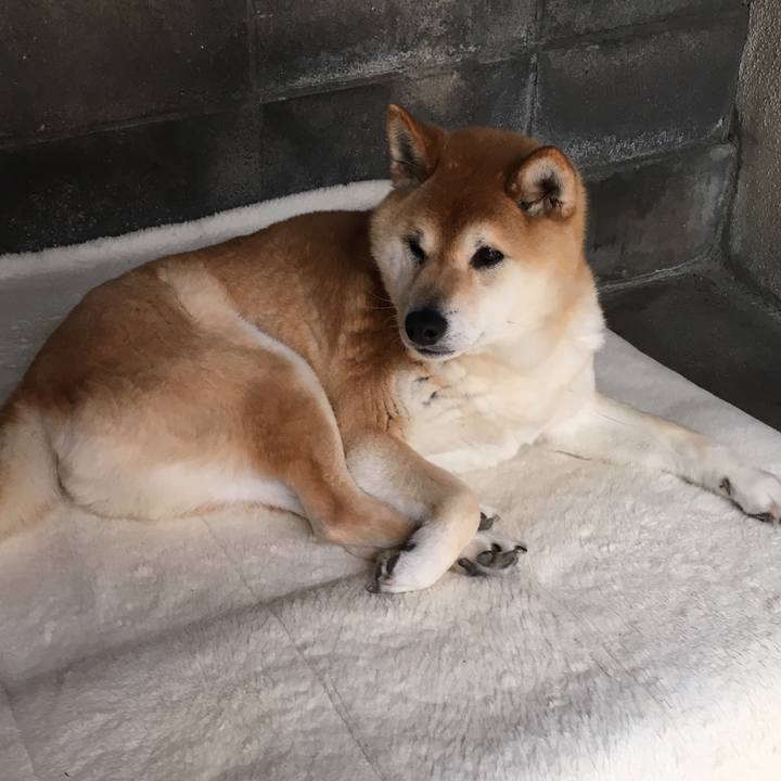 299f3962 ea69 4c51 9bd7 0b20de8d7eed 1525403350813