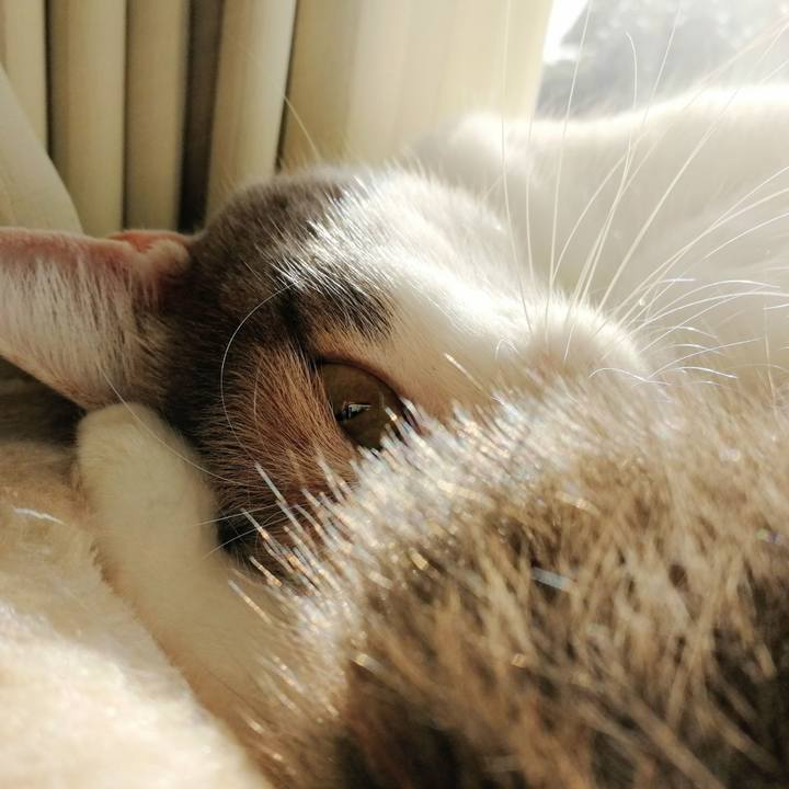 299f4d10 4f85 42ac 8ee1 eaa86a86c950 1571103246705