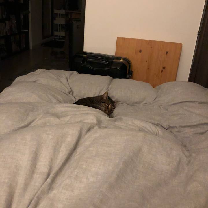 299f7931 790f 447a 83f7 829d778e930c 1524286698557