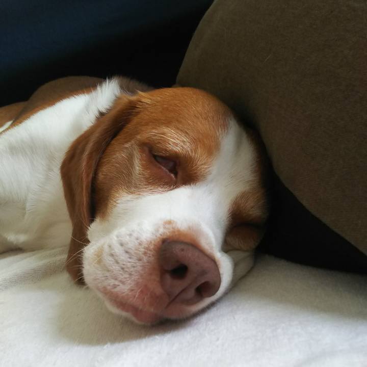 299f7f83 6191 4c57 9bb1 c347060477b5 1629259603401