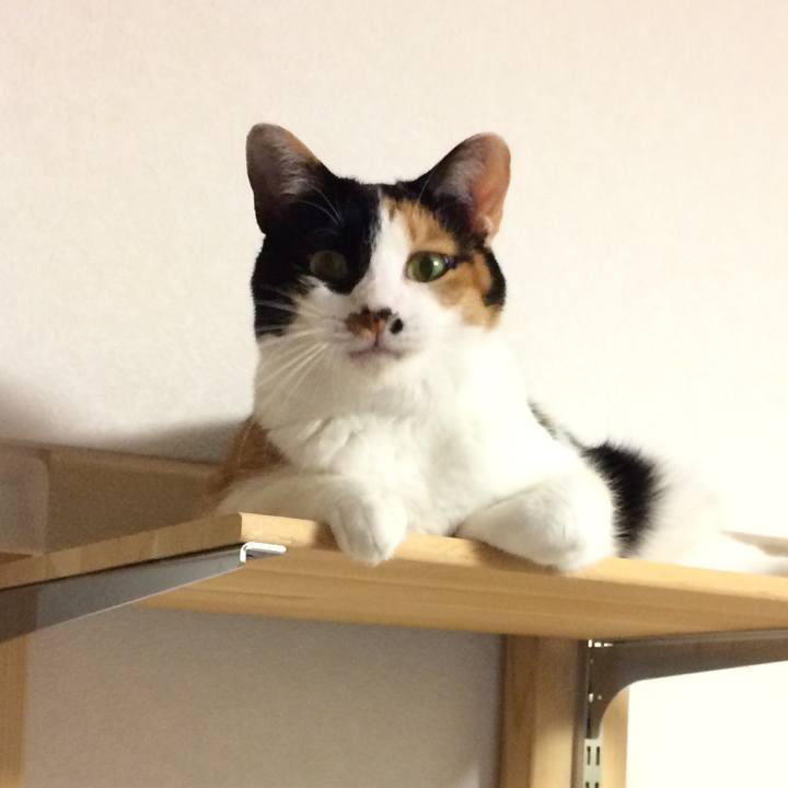 299fd28d 7e64 4bfe b305 e51af800747f 1568763325066