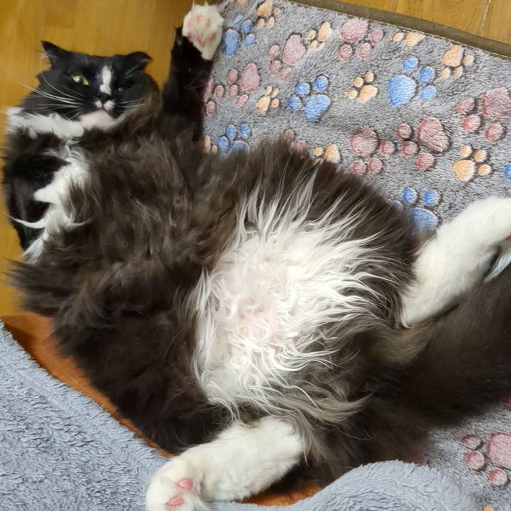 299fd605 aea8 48b0 a41e 3e5d6b7514df 1683808880710