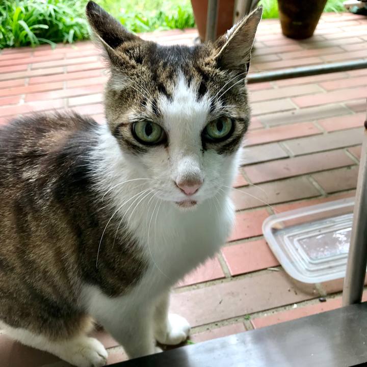 299fe373 61bf 476f b8d8 fec3db33e1da 1528938287818