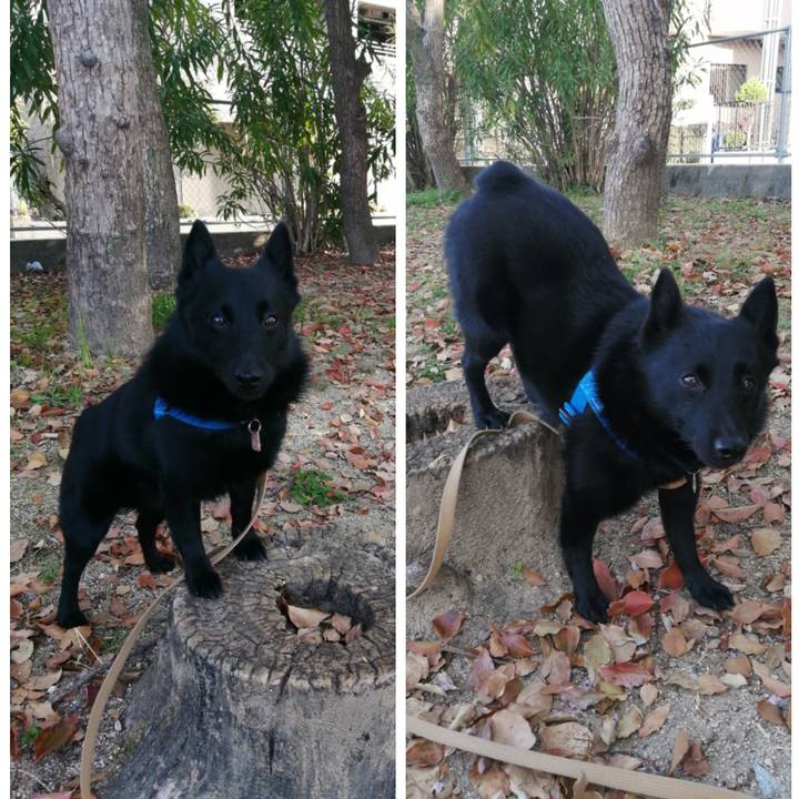 299fe7f6 5e35 4623 8211 db880435a7c2 1617402194287