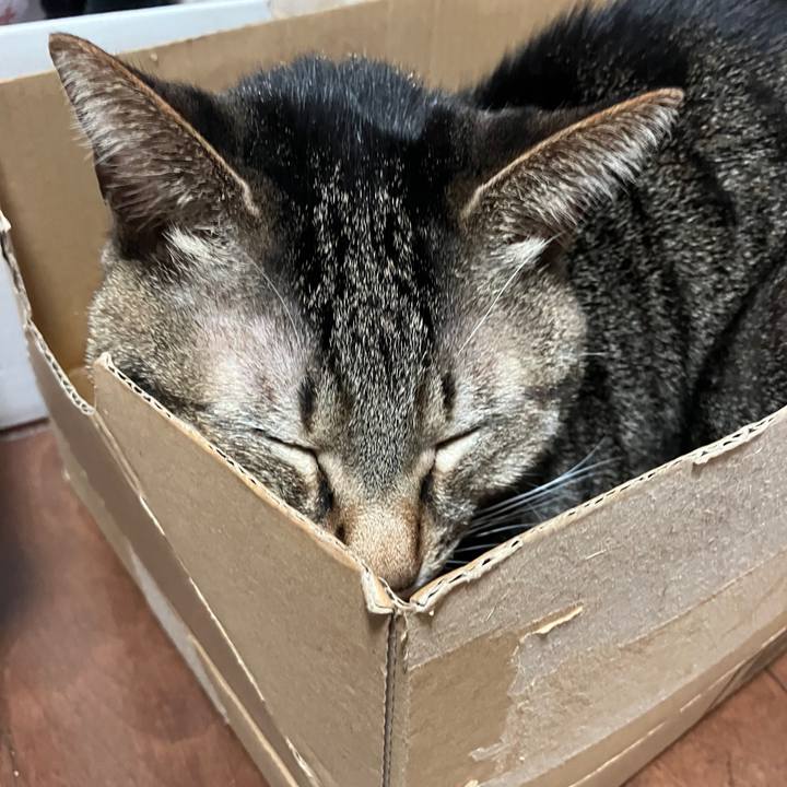 299fecd6 4b5c 43cf beb8 3a22c0302980 1768224590308