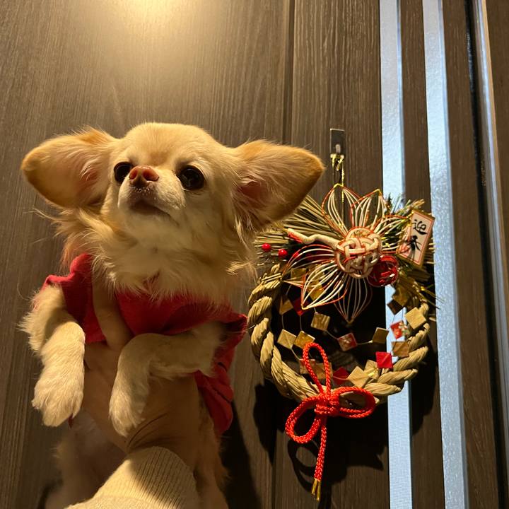 29a023a7 b17c 4612 a767 9297acf8e620 1735470777423