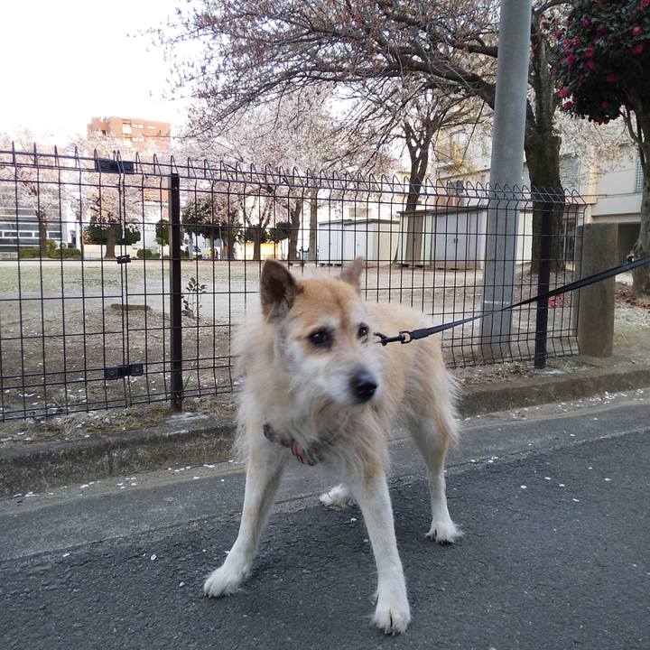 29a0299e 8437 4f4f 9e09 451dcd265287 1586077009219