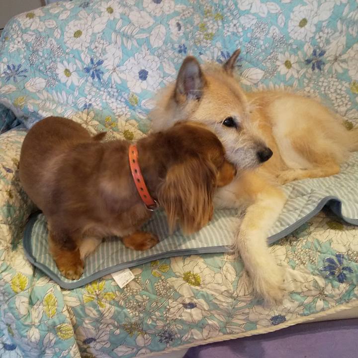 29a02c2e 16b2 49df 814f 18145d04601d 1561771208804