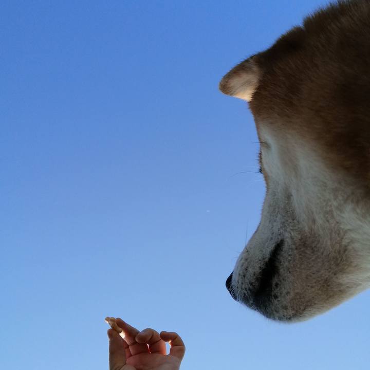 29a03f17 7785 4f51 a40c aec57fbf0ceb 1586159486590