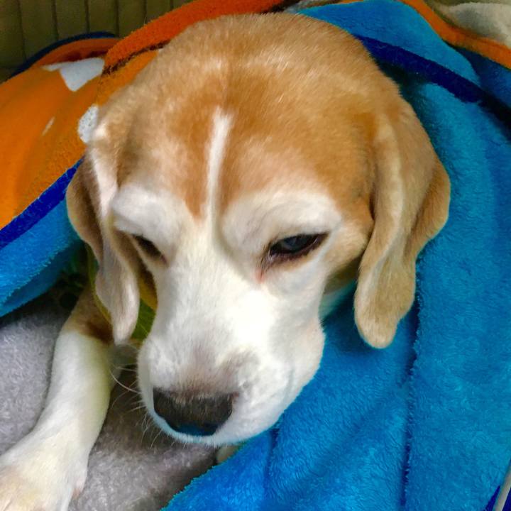 29a0409b cdea 43e2 b6cd fa1215017c25 1548905273964