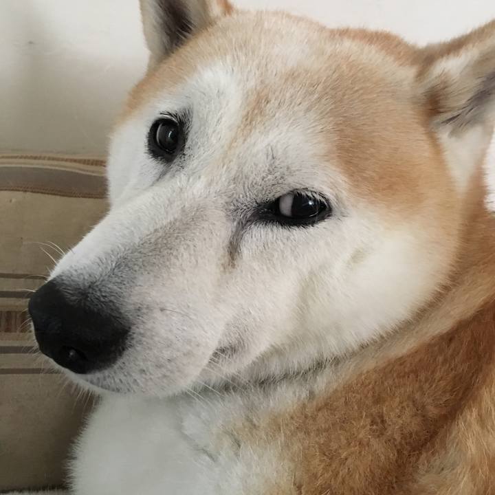 29a07be6 1067 4723 b57e 63b68ab25027 1534563035064