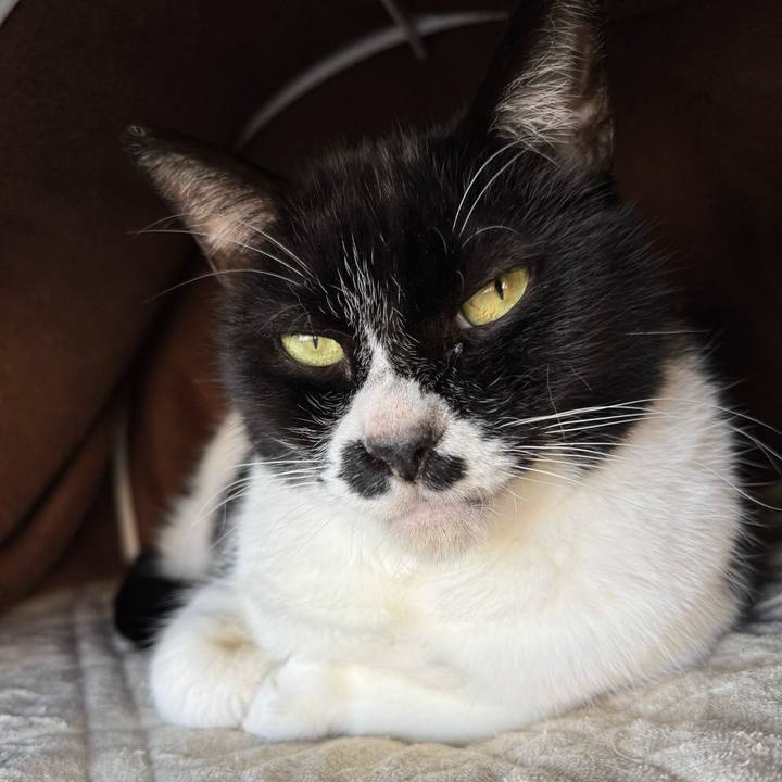 29a0890d 831a 4f39 b73b fc7acbdf5ca5 1765499392022