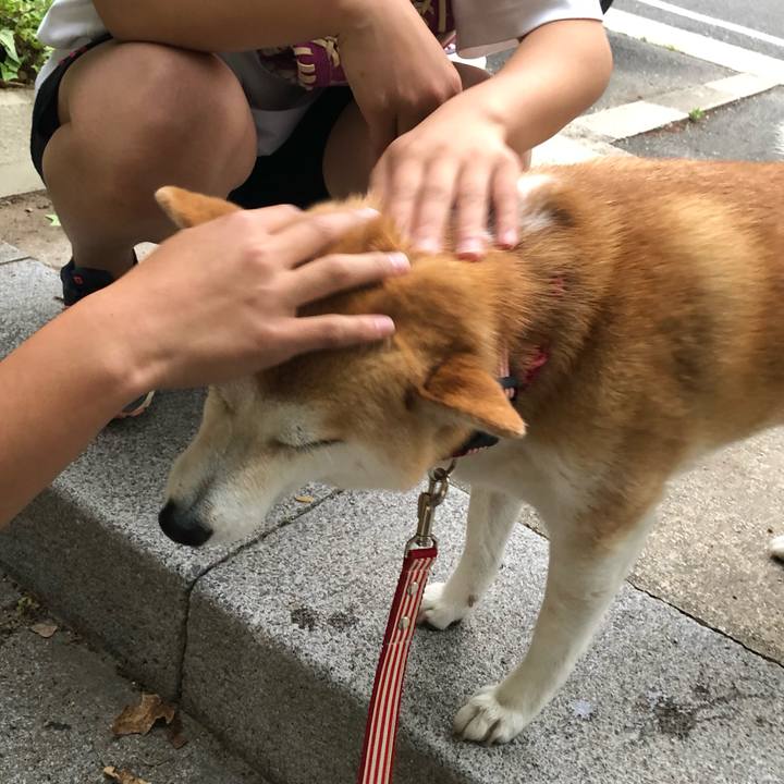 29a09184 b59d 47a8 a9e4 4bdf7cd39739 1559689022162