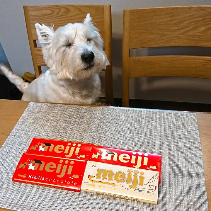 29a139fa eec9 46e0 bed0 fd509aaa57db 1549280004105