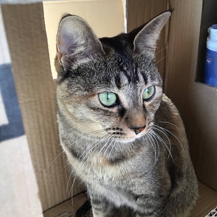 29a1405e 23df 4a27 979e 16dabde636c3 1612751760775