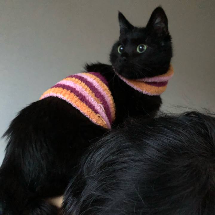 29a1a49e 2cc0 4a53 9d14 8b0fbdf86b9d 1587893375432