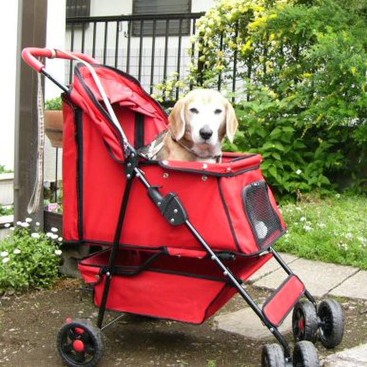 29a23d3a a6fd 43dd a80a 0db3d90bcee3 1650589158929