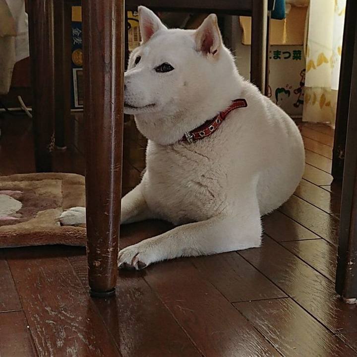 29a25fae 196d 449d 8012 9516443faecd 1532217429586